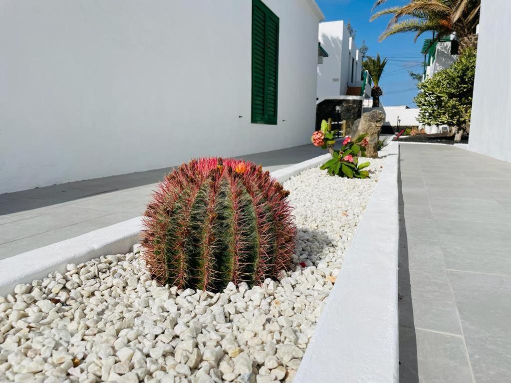 Appartamento Casa Adelfa Puerto del Carmen  Esterno foto