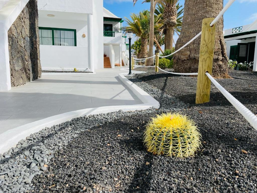 Appartamento Casa Adelfa Puerto del Carmen  Esterno foto